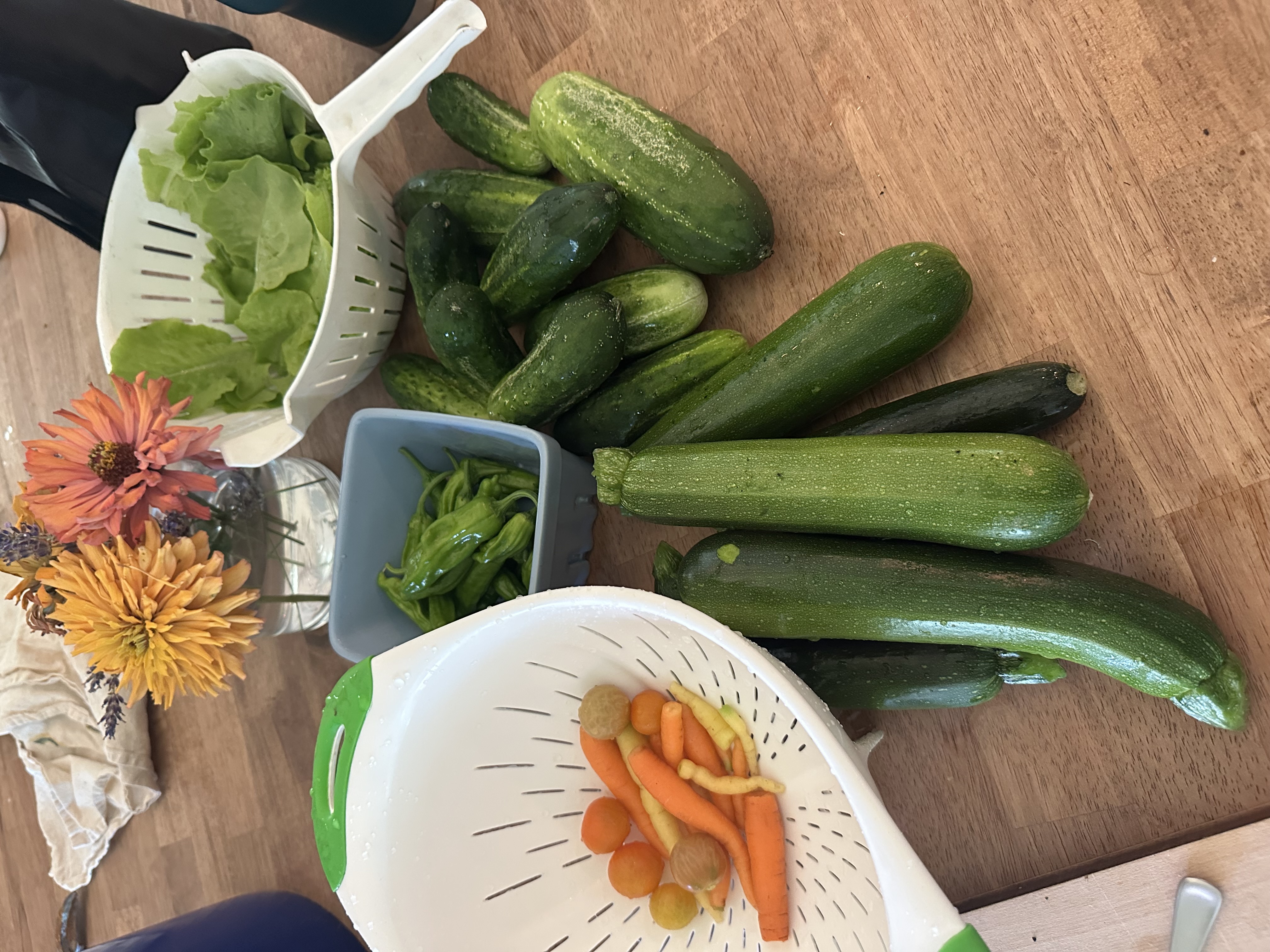 Today's garden haul about to be turned into lunch!
